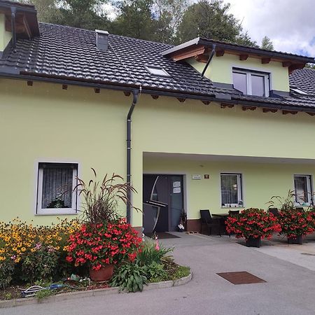 Apartments And Wellness Jelovca Radovljica Extérieur photo