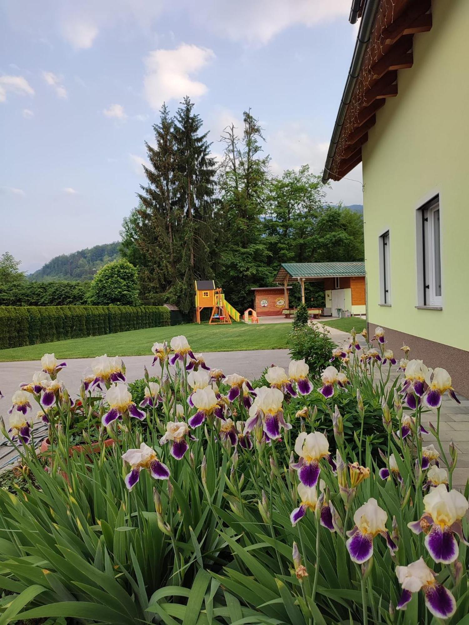 Apartments And Wellness Jelovca Radovljica Extérieur photo