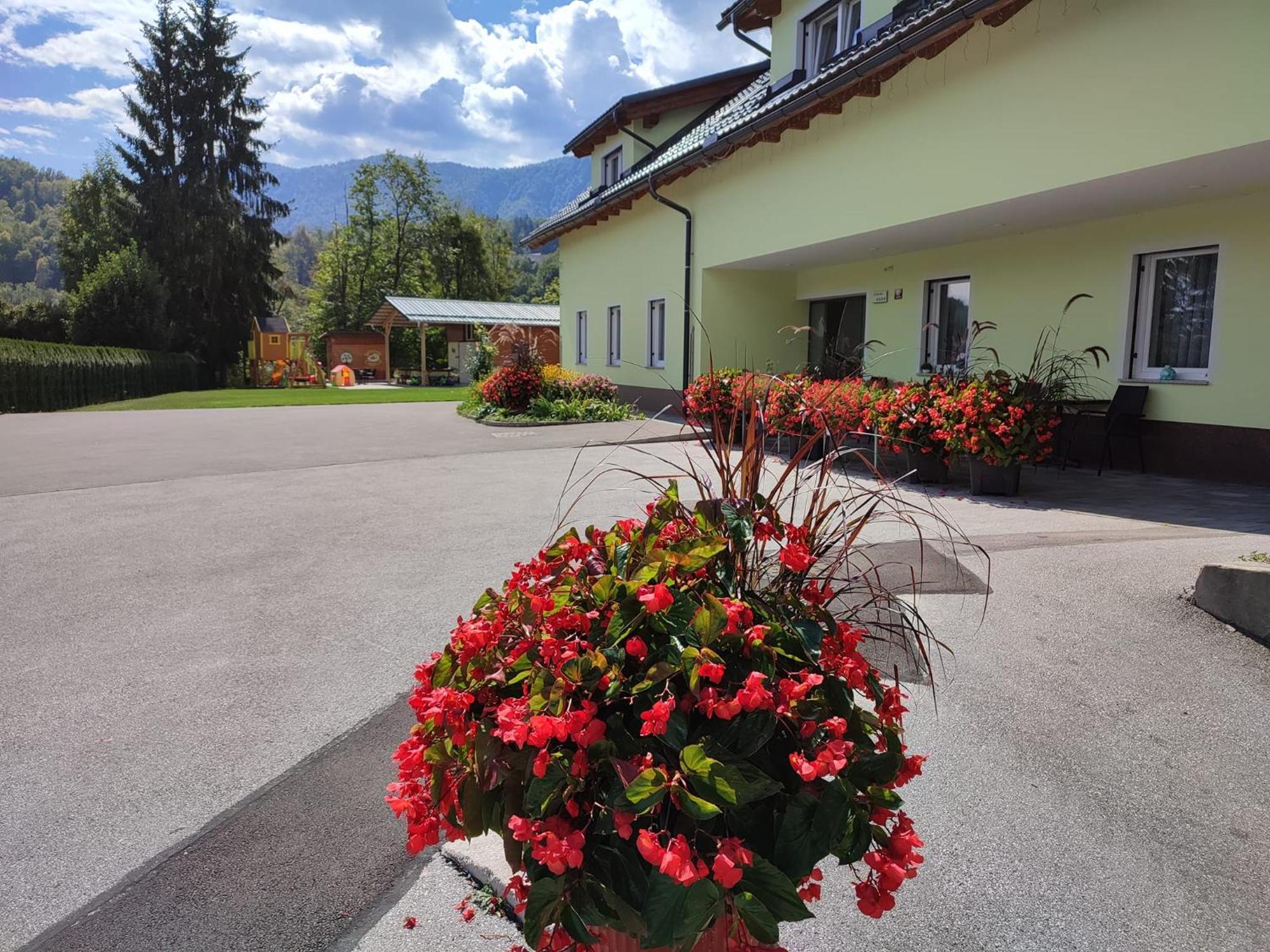 Apartments And Wellness Jelovca Radovljica Extérieur photo